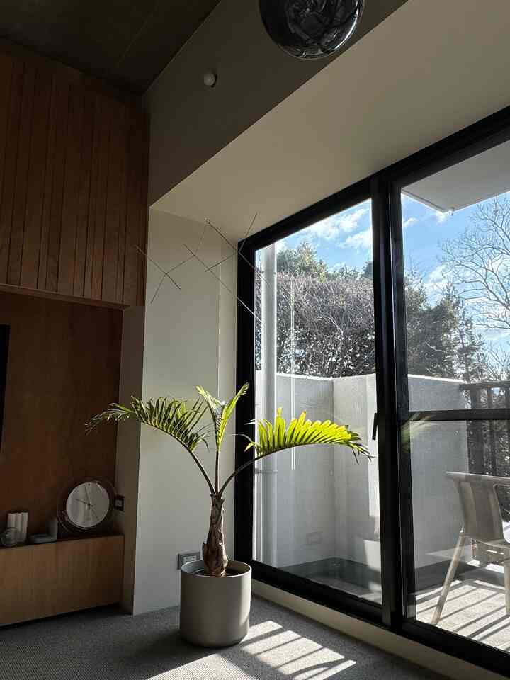 晴れた休日の朝は日向ぼっこしながら
ゆっくり朝ごはん


#マンションリノベーション
#リビング
#借景のある暮らし
#カーペット