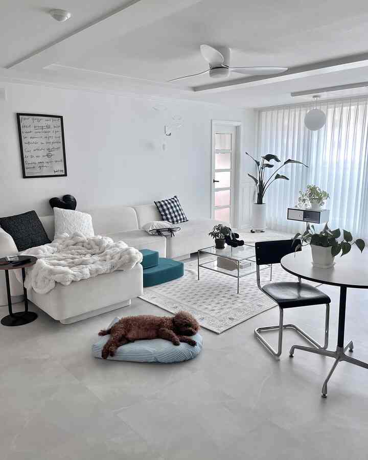 White-toned living room featuring large white sofa, round dining table, pet bed and pet steps with a clean and cozy atmosphere