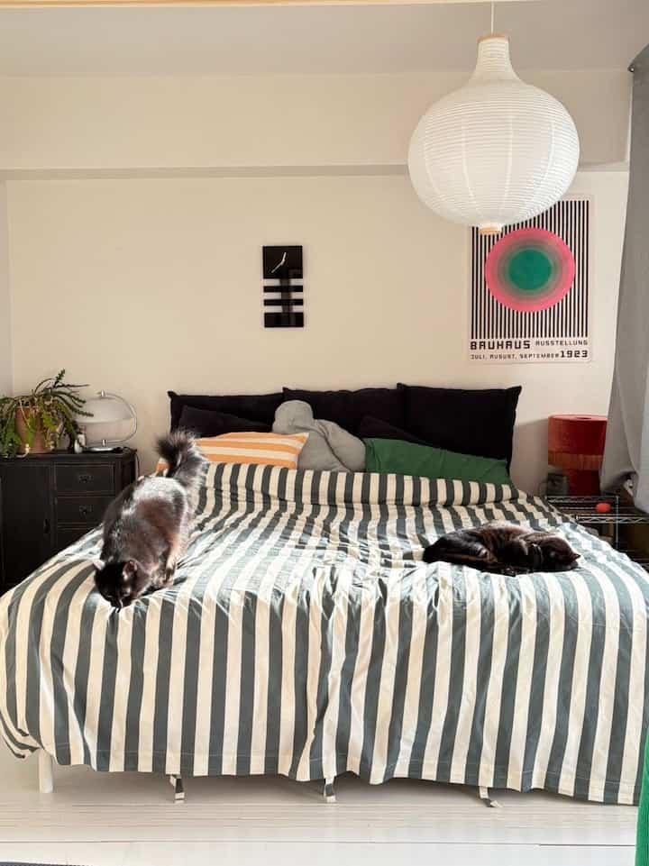 White-toned bedroom featuring a bed with striped duvet cover and two black cats resting comfortably