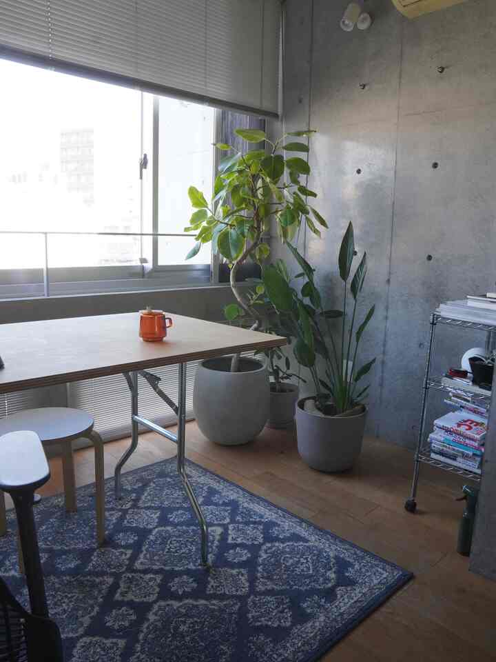 Natural-tone small workspace with concrete wall and plants, simple and cozy interior for single household