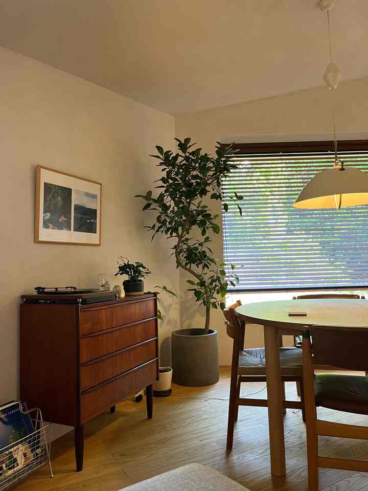 お気に入りの写真を飾っているけれど、ガラッと変えても良いかも🤔　#リビング #ラウンドテーブル #roundtable #観葉植物 #レコード