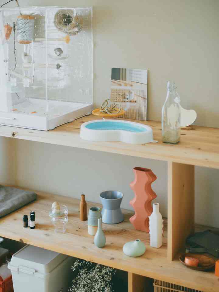 空いてる花瓶も集めると可愛い

#花瓶 #カラフルなインテリア #鳥 #ペット 