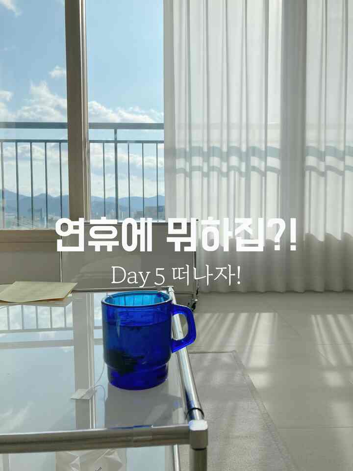 #맞팔 #소통 #새해 #연휴 #명절 #거실인테리어 #오그레  #3m스카치 #밀대걸레 #청소 #오늘의가든 #오늘의집 #오늘장면한컷 