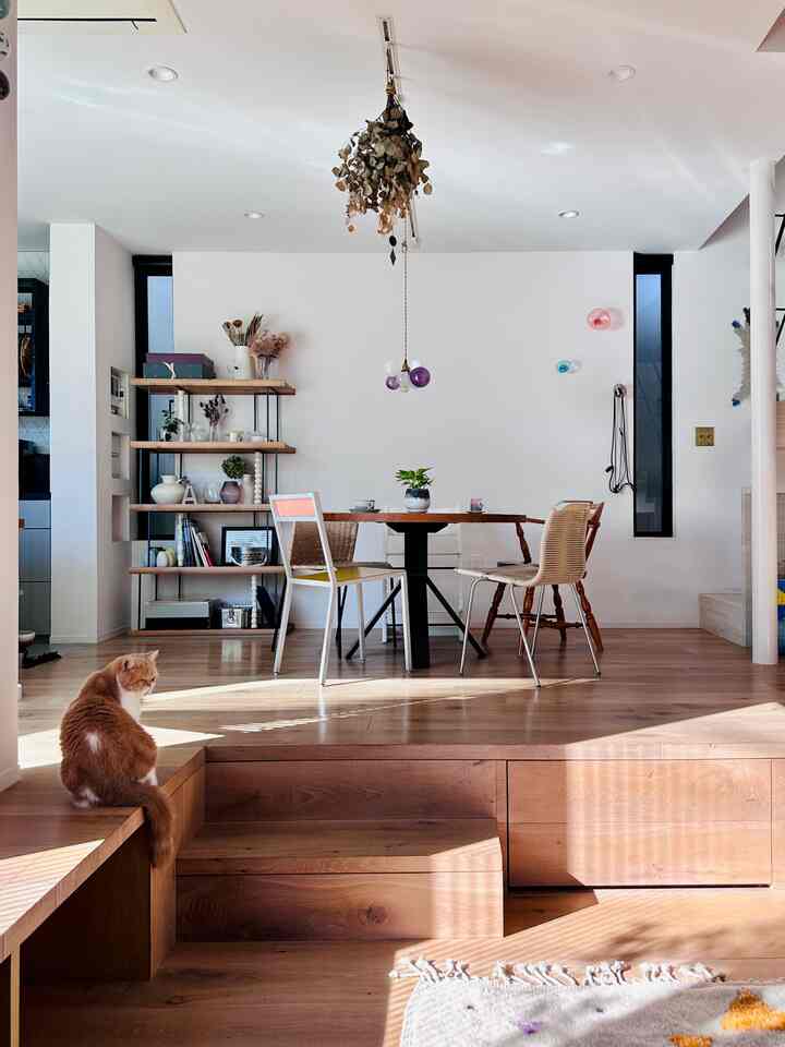 Bright white walls and warm wood-tone flooring create a natural modern dining room featuring a wooden dining table and a cat sitting on a bench