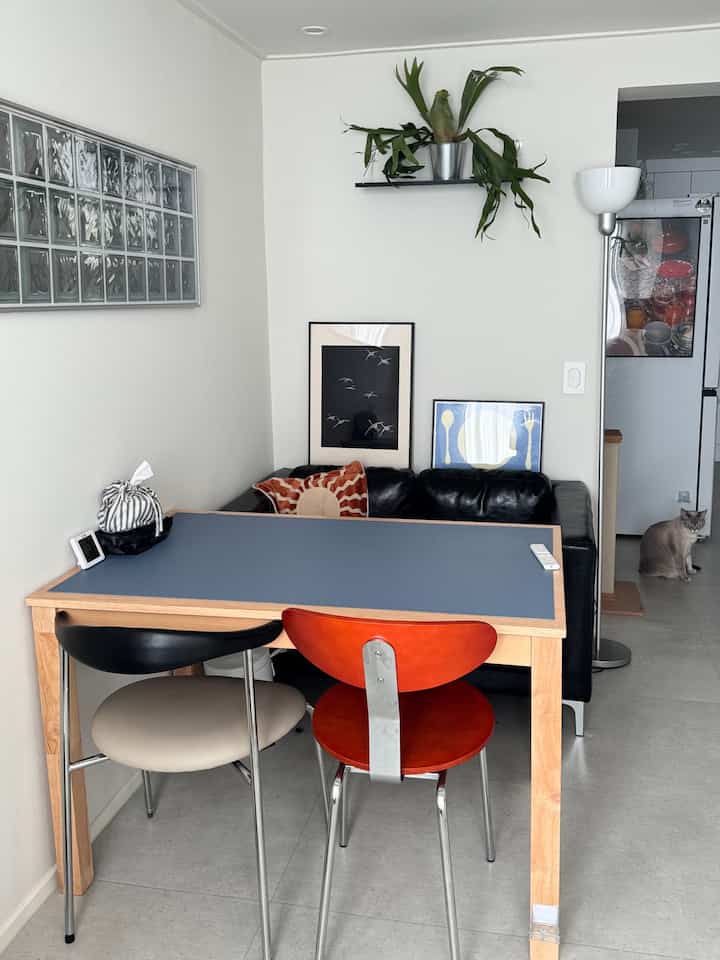 Bright white-walled dining room with a wood-tone dining table topped in blue, modern chairs, and a cat sitting near the floor on the right side.