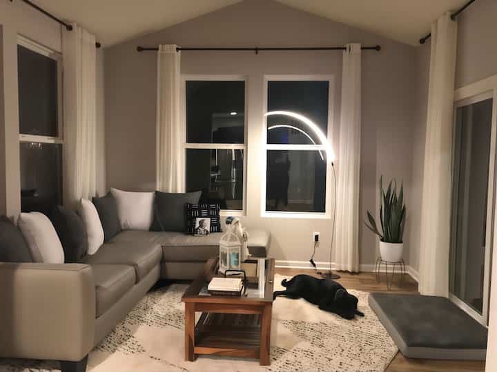 Enjoying a cozy night in with my furry friend! Nothing beats cuddles and comfy vibes. 🐾❤️ #DogLover #CozyNights