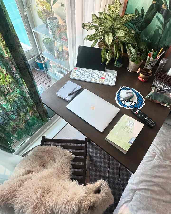 あけましておめでとうございます。 서요👩🏻‍🏫

＃今日の私たちの家＃イケアおすすめのテム＃今日のシーンカット＃デスクテリア人＃ワンルームインテリア＃ワンルーム飾り
#plantlover #houseplants #cozyhome #cozyvibes #roominspiration #homesweethome