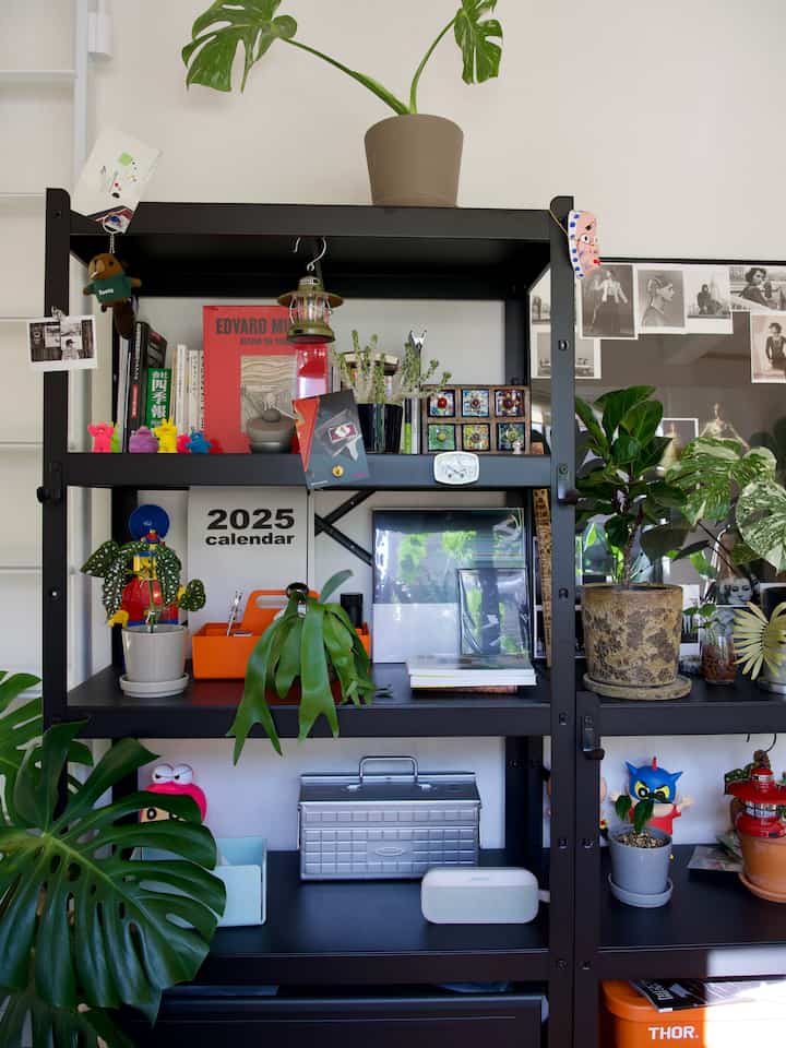 South-facing room with loft
Lots of sunlight ☀️

#loft #loft #ブラック #シェルフ #南向き部屋 #仕事部屋 #thor #livewithplants #植物 #orange