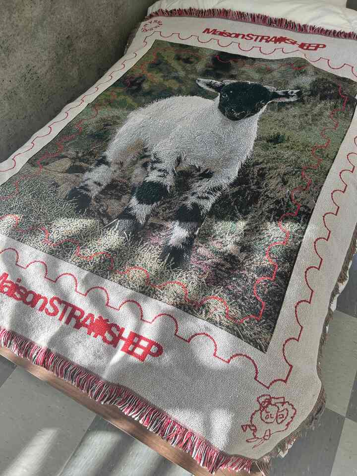 少しフレームが出るベッドが可愛い！
羊のラグは🤫
.
#ベッド #ベッド用品 #ベッドインテリア #ベッドおすすめ #Ohouse #LOWYA #インテリア #ラグ #タオルケット・ガーゼケット #ブランケット 