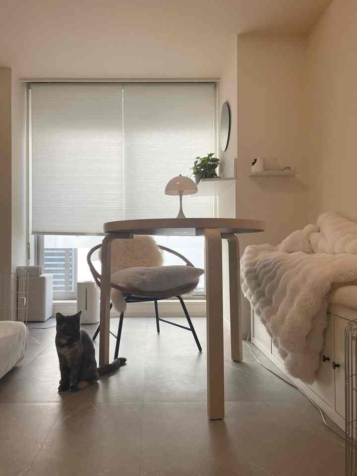 A cozy small living space in white and beige tones featuring a round desk, armchair, a cat, and a plant