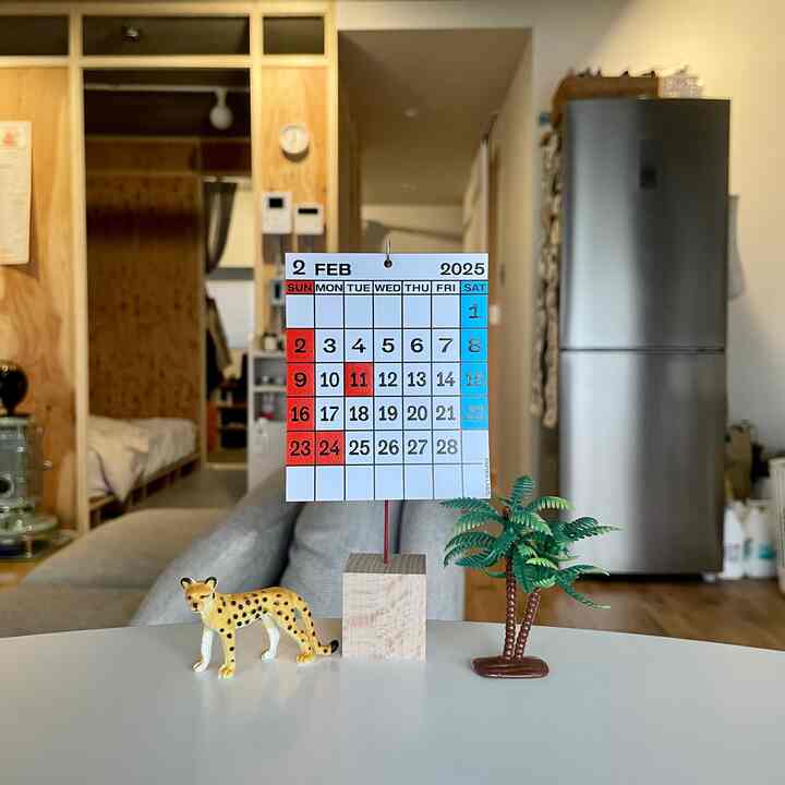 早いものでもう2月
PAPIER LABO.のDESKTOP CALENDERのサイズ感が良い感じ🗓️

#リノベーション #マンションリノベーション 
#howwelive #mylvngrm #apartmenttherapy
#interiordesign #interiordecor #interiorinspo
#interiorgreen #観葉植物  #構造用合板