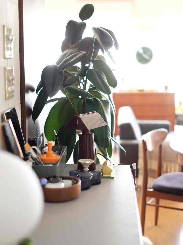 #shelf #portablelamp