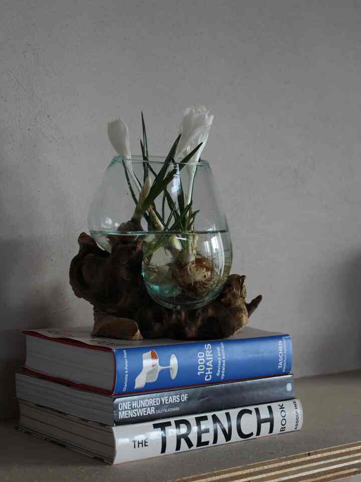 Saya telah mulai menanam umbi crocus di air.
Sungguh lucu dan menenangkan untuk dilihat.

Vas itu dibeli di Bali.
Barang itu dijual di jalan, tetapi saya berhasil menawar harga dan mendapatkannya dengan harga bagus, jadi itu barang yang berkesan.

#Hidrokultur #球根植物 #球根 #クロッカス #花 #花瓶 #ウォールシェルフ #飾り棚