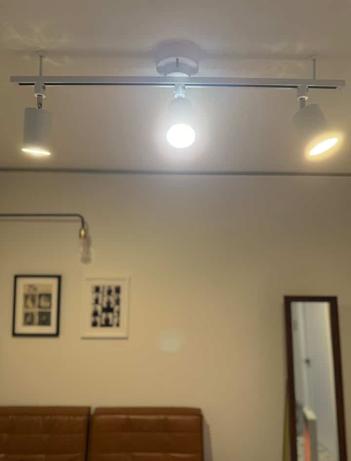 基本にはこのシーリングライトがメインの照明。
暖色と白色を合わせて暖かくなりすぎないよう調整しています。

シーリングライトは4つあるんですが、
この部屋では明るくなりすぎたので1つ取り外して使っています。

(鏡にちらりと見える電気ストーブを添えて…。)

#IKEA 
#drawaline
#kagu350
#nissinlux
#ブルー
#ホワイト
#グレー
#リビング
#関節照明 
#ランプ 
#シーリングライト 
