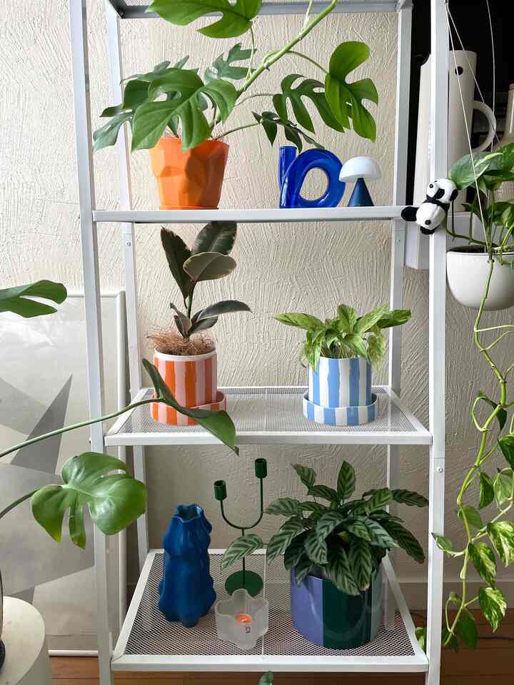 Pot bergaris yang aku beli di rumah H&M lucu banget 💙🧡
#Tanaman hias #植物インテリア #鉢植え #植物 #インテリア #1LDK #2人暮らし #犬がいる暮らし #韓国インテリア #北欧インテリア #カラフルなインテリア #ディスプレイラック #IKEA #IKEA #H&MHOME