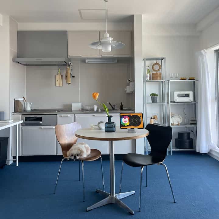 白と青のトーンのキッチンダイニングルーム、ペットが座るモダンでコンパクトな印象的な空間