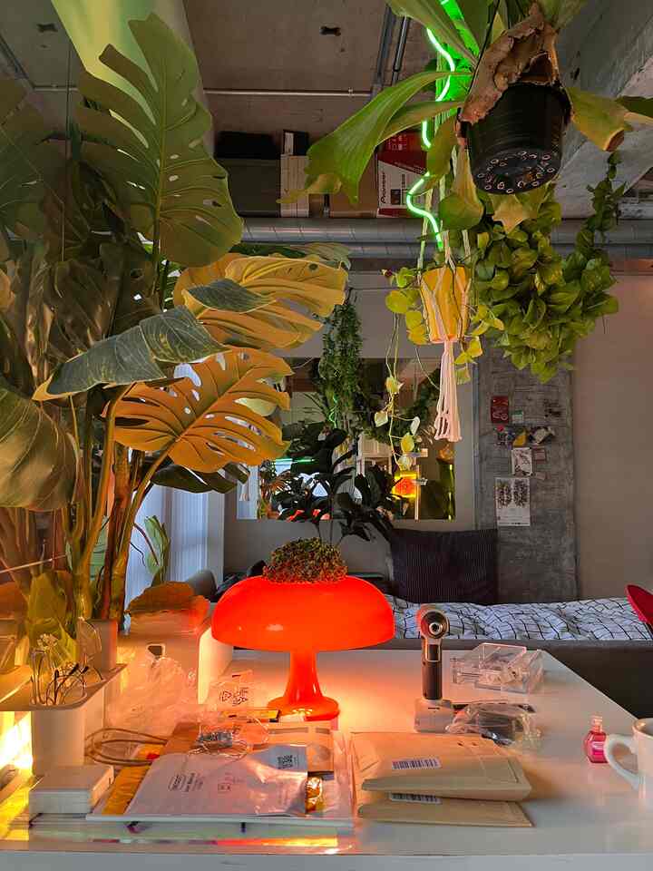 緑の植物とオレンジ色のレトロなテーブルランプが配置されたナチュラルなワンルームのホームオフィス