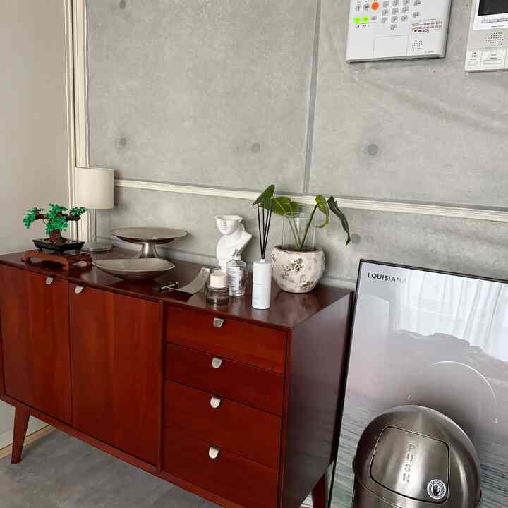 Wood tone cabinet with a small indoor plant in a natural styled compact space interior