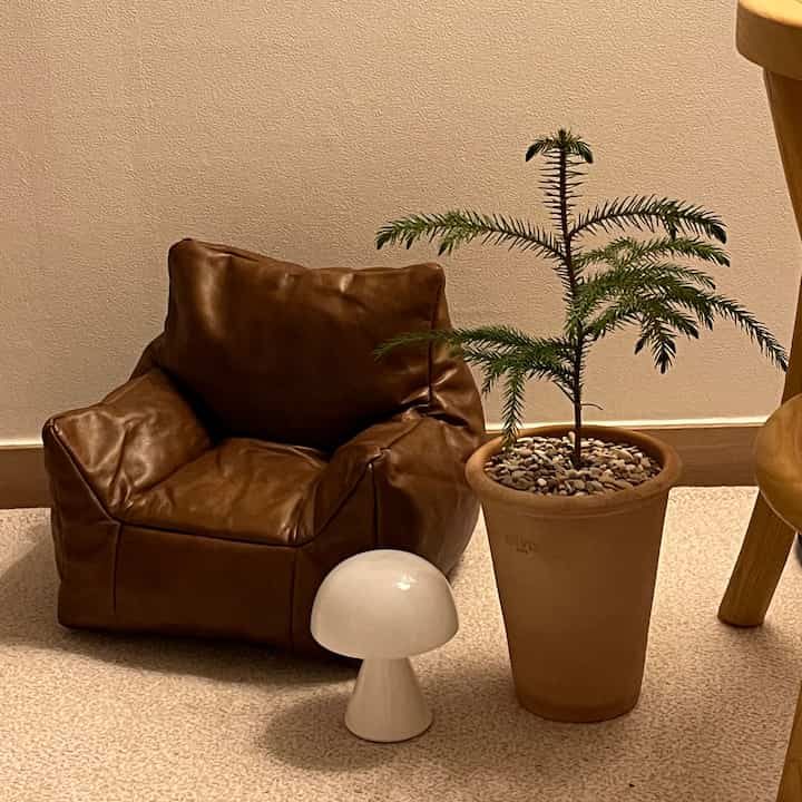 Natural tone bedroom space featuring brown bean bag chair, potted plant, and white mushroom lamp creating cozy ambiance