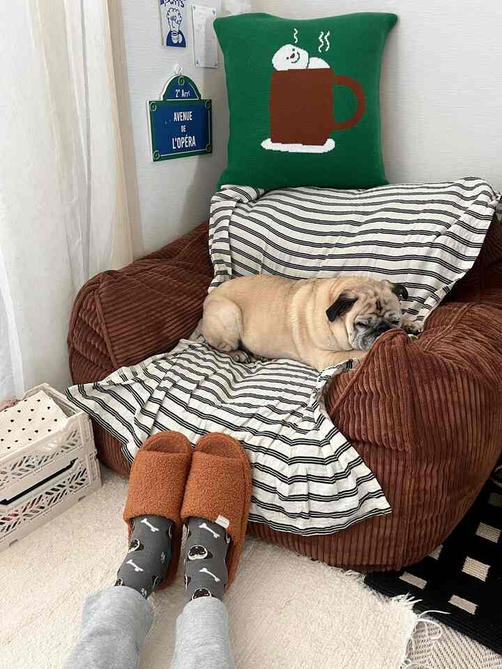  #겨울 #겨울템 #따뜻해요 #슬리퍼 #빈백쇼파 #구스이불 #쿠션 #거실인테리어 #침실 #반려견과사는집 #겨울준비 #겨울감성