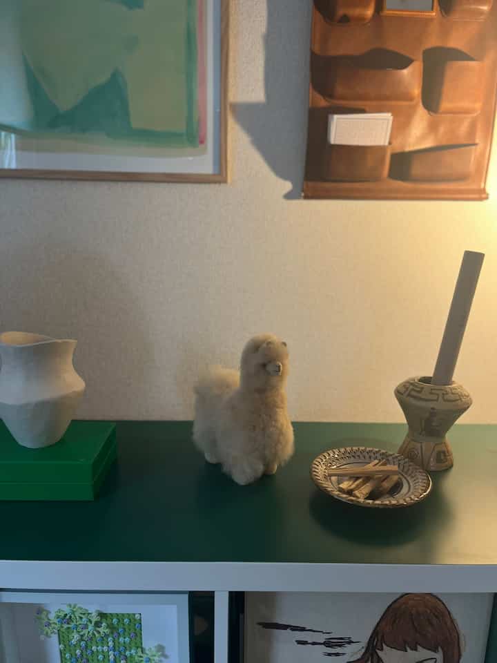 最近の卓上🦙
#卓上アイテム
#カラックス