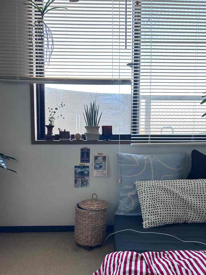 Saya perlu membersihkan jendela 🧼

#Tanaman hias
#Jendela
#IKEA