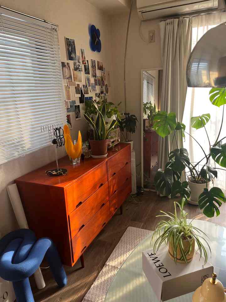 温かみのある木目調とグリーンの植物が配置された8畳のワンルームリビング、ミッドセンチュリーモダン家具と間接照明のある印象的な空間