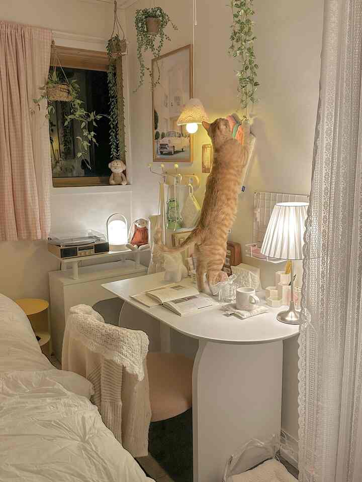 暖かいベージュとホワイトのトーンのワンルーム寝室、猫が机の上で遊ぶホームオフィスの雰囲気あるインテリア