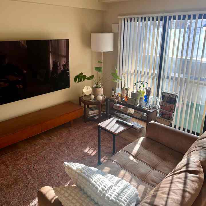 Natural tone living room with beige walls and brown sofa, featuring plants and vertical blinds in a cozy space