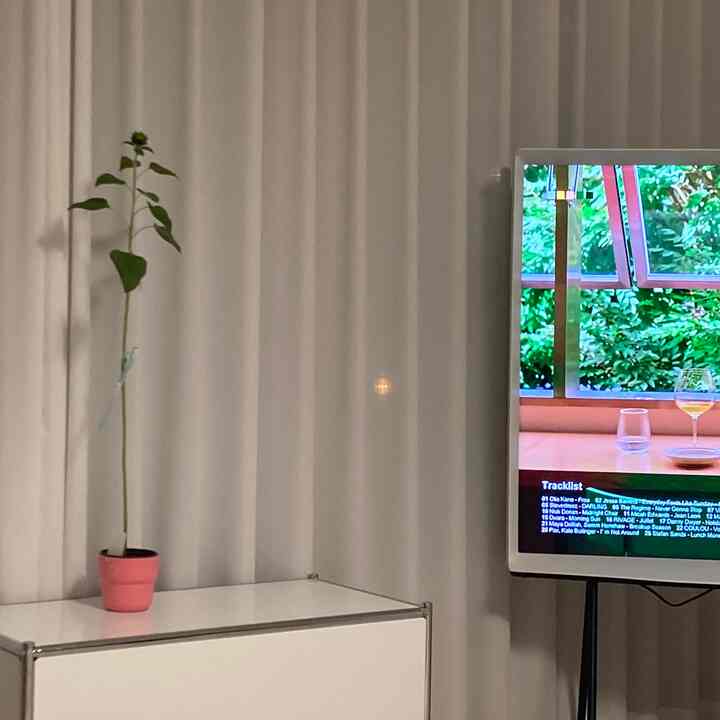 🌻🌻🌻🌻

種から育てられたひまわりです！
11月ごろに植えましたが、いよいよ花がピルコみたいです！
昔の映像にしばらく見せてくれた大!!
花咲くように見て約束した人がいます。
ヨレの記録を残してください！

昨日の夕方に撮った写真です。
いつも退軍して行って、どれくらい弾いてみたいか

これはチュユンの日ですが、花が咲いています。
人生は本当にすごいと思います！ ✨👍


＃今日の私たちの家＃コンスープの記録＃今日の庭＃コミュニケーション＃コミュニケーション＃ひまわりを育てる＃花の植木鉢＃ひまわり＃イケア＃イケア鉢植え 