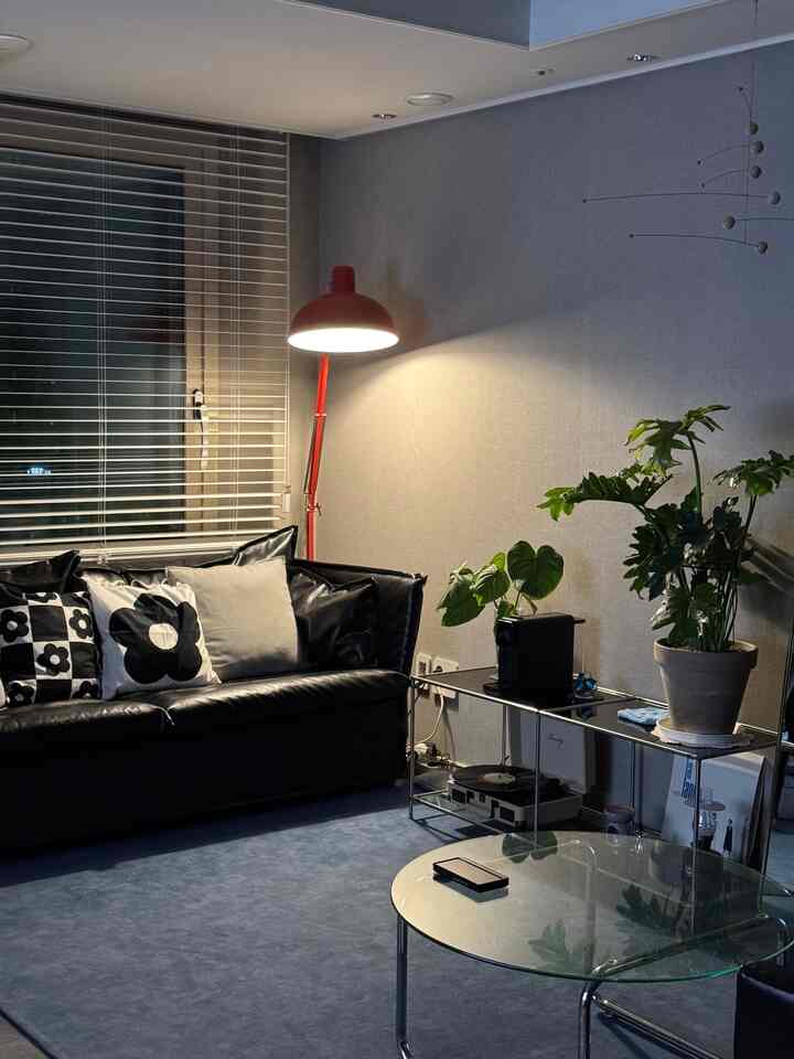 グレーの壁と黒いレザーソファが配置されたミッドセンチュリーモダンのリビング、赤いフロアランプと大きな観葉植物が印象的な落ち着いた空間