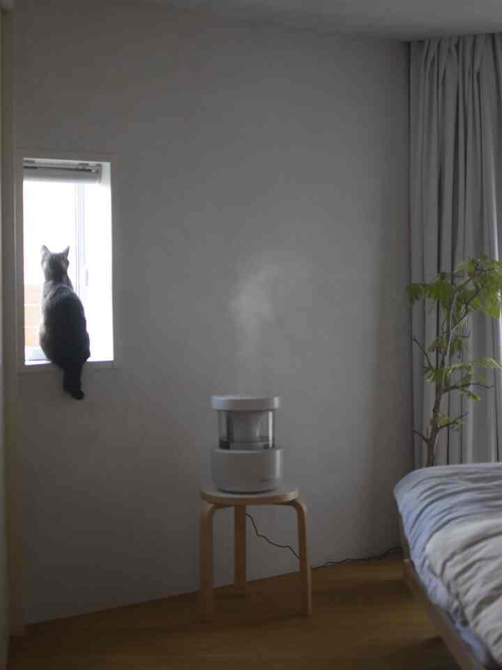 Natural-toned bedroom featuring a stool with humidifier in center and a cat sitting on the window, creating a peaceful atmosphere