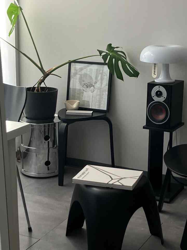 黒と白のトーンの空間に植物と額縁、スツールが配置されたシンプルで収納アイデアが感じられる雰囲気のあるインテリア