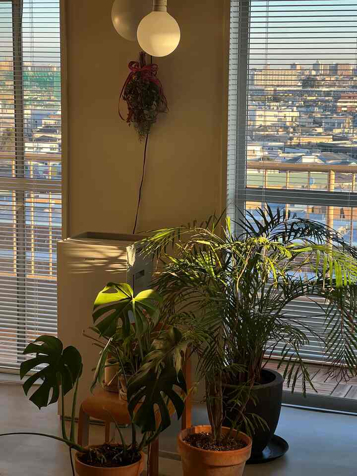 There's a demon somewhere✌️

#renovation #interiordesign #interiorstylists #interiordecor 
#vintagefurniture #海外インテリア #リノベーションマンション #ヴィンテージインテリア #ヴィンテージ家具 #ミッドセンチュリー家具 #モダンインテリア #モダンリビング #モダン住宅 #整理収納 #見せる収納 #暮らしの記録 #シンフ living #日々の暮らしを楽しむ #くらしを楽しむ #部屋作り #部屋紹介