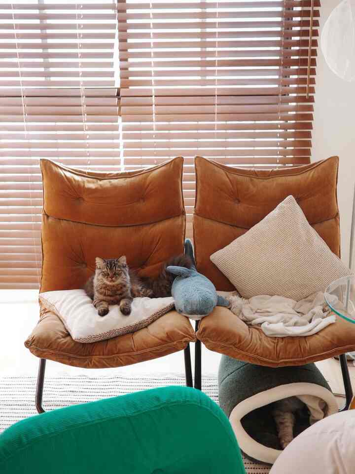 ブラウンの木目調ブラインドを背景にしたリビング、茶色のアームチェアとベージュのクッションの上でくつろぐ猫がいる雰囲気のある空間