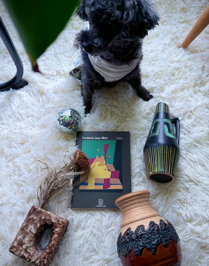 白いラグの上に黒い犬とシルバーミラーボール、ナチュラルカラーの陶器オブジェが置かれた雰囲気のあるインテリア