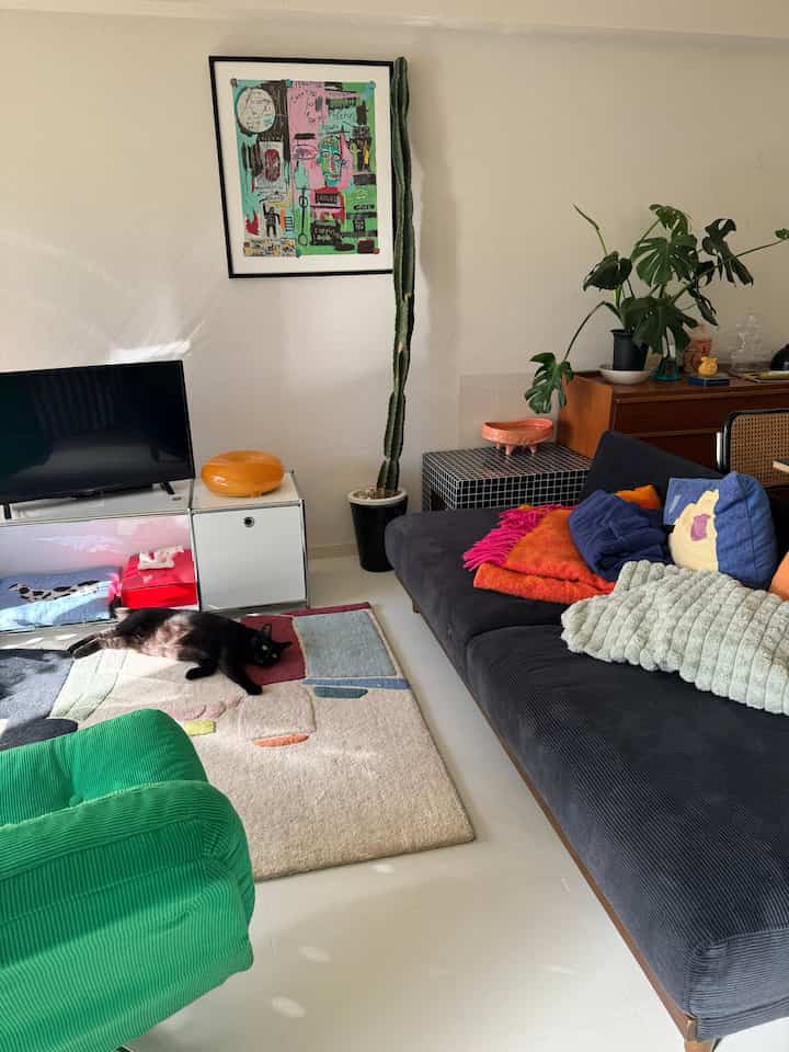 Natural-toned living room featuring a black cat, colorful sofa, and armchair creating a cozy space