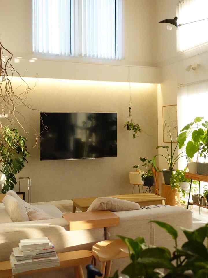 Pecandu TV #リビング小物 #リビング植物 #テレビ