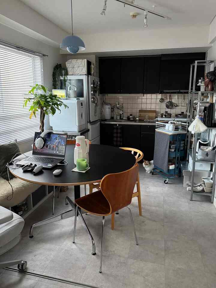 Black and white toned kitchen and dining table with a cat in a compact home office space