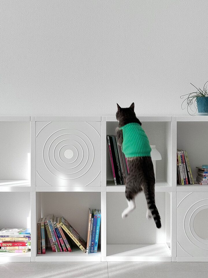 short form carousel card thumbnail