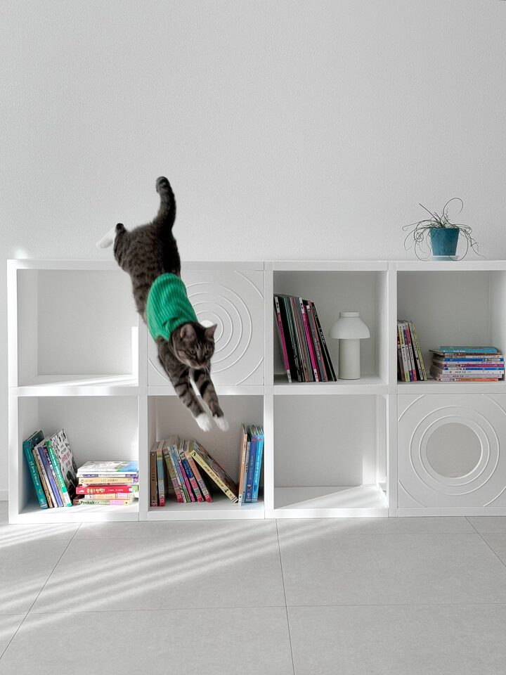 short form carousel card thumbnail