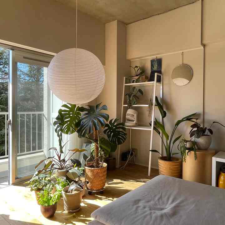 日向に集めて水やりタイム🪴

#リノベーション #マンションリノベーション 
#howwelive #mylvngrm #apartmenttherapy
#interiordesign #interiordecor #interiorinspo
#interiorgreen #観葉植物 #muebe