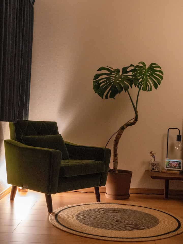 夜ベットルーム🌙

#夜 #照明効果  #丸いラグ #モンステラ #ベットルーム #1人掛けソファ  #metime 