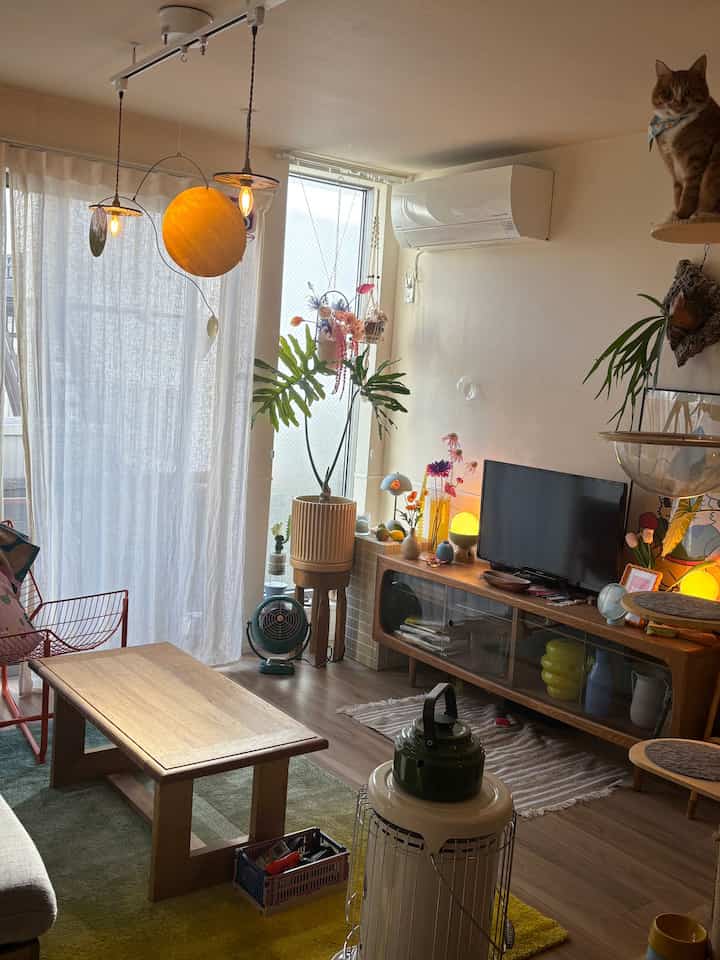温かみのある木目調とカラフルなラグが配された植物と猫のいるカフェ風の居心地良いリビング