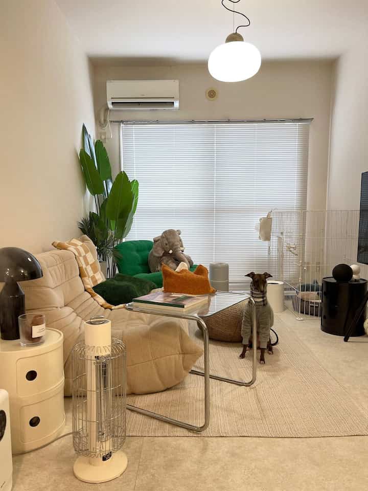 A white and beige toned living room featuring a dog, pet cage, and mid-century modern elements with a natural ambiance