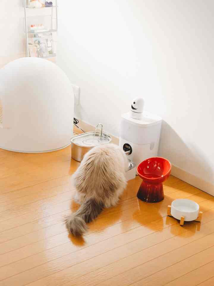 木目調の床と白い壁が特徴的な空間に、キャットフードボウルやスノードーム型の猫トイレが配置された雰囲気のあるペットスペース