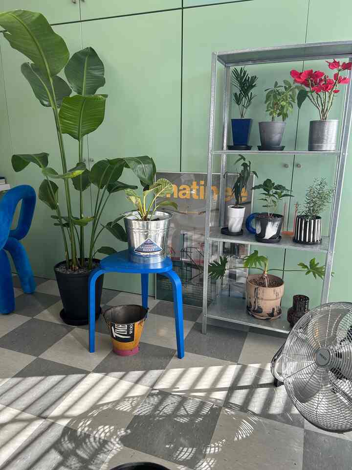 A bright mid-century modern space featuring light green walls, a blue stool, and various leafy plants arranged naturally