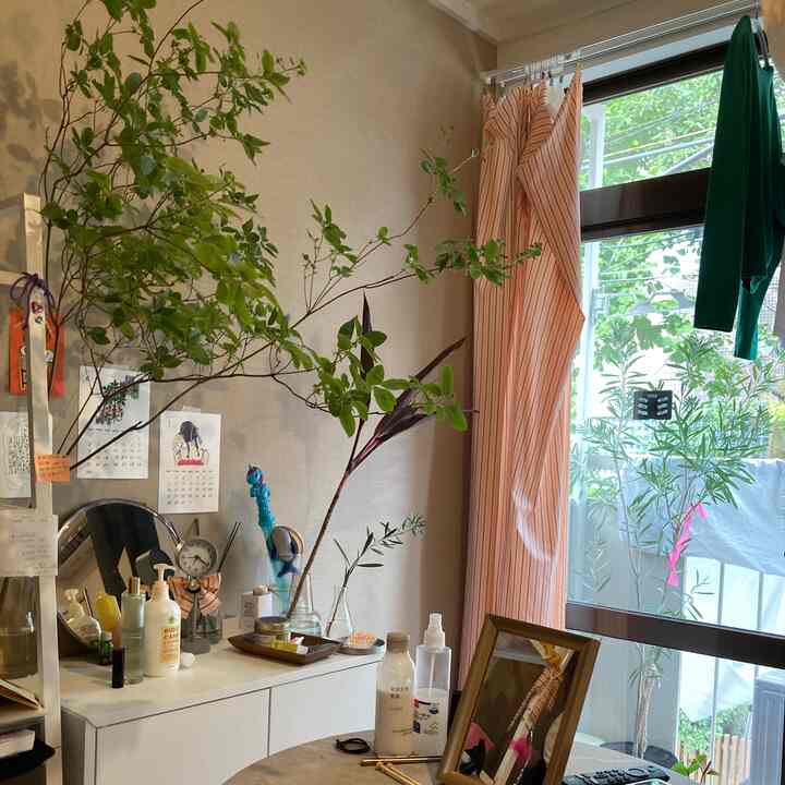 I like the cluttered feel 💗
#Plants #植物のある生活 #1R #生活感