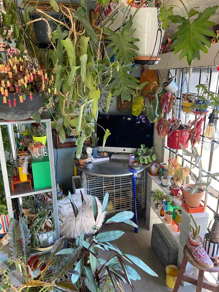 グレーの床とミッドセンチュリーモダンなデスクがあるコンパクトなワークスペース、多様な観葉植物とヴィンテージの装飾が配されたグリーンインテリアの印象的な空間