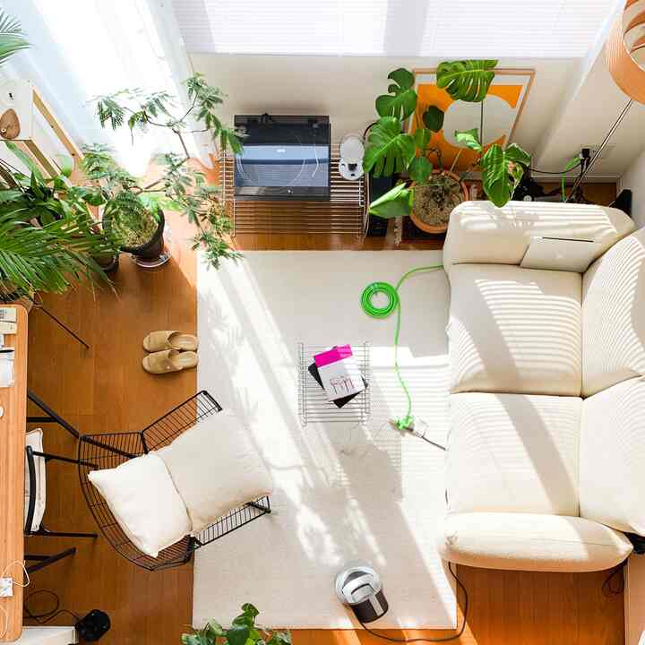 White and wood tone single household analog vibe study and living room with plants and sofa creating a cozy atmosphere.